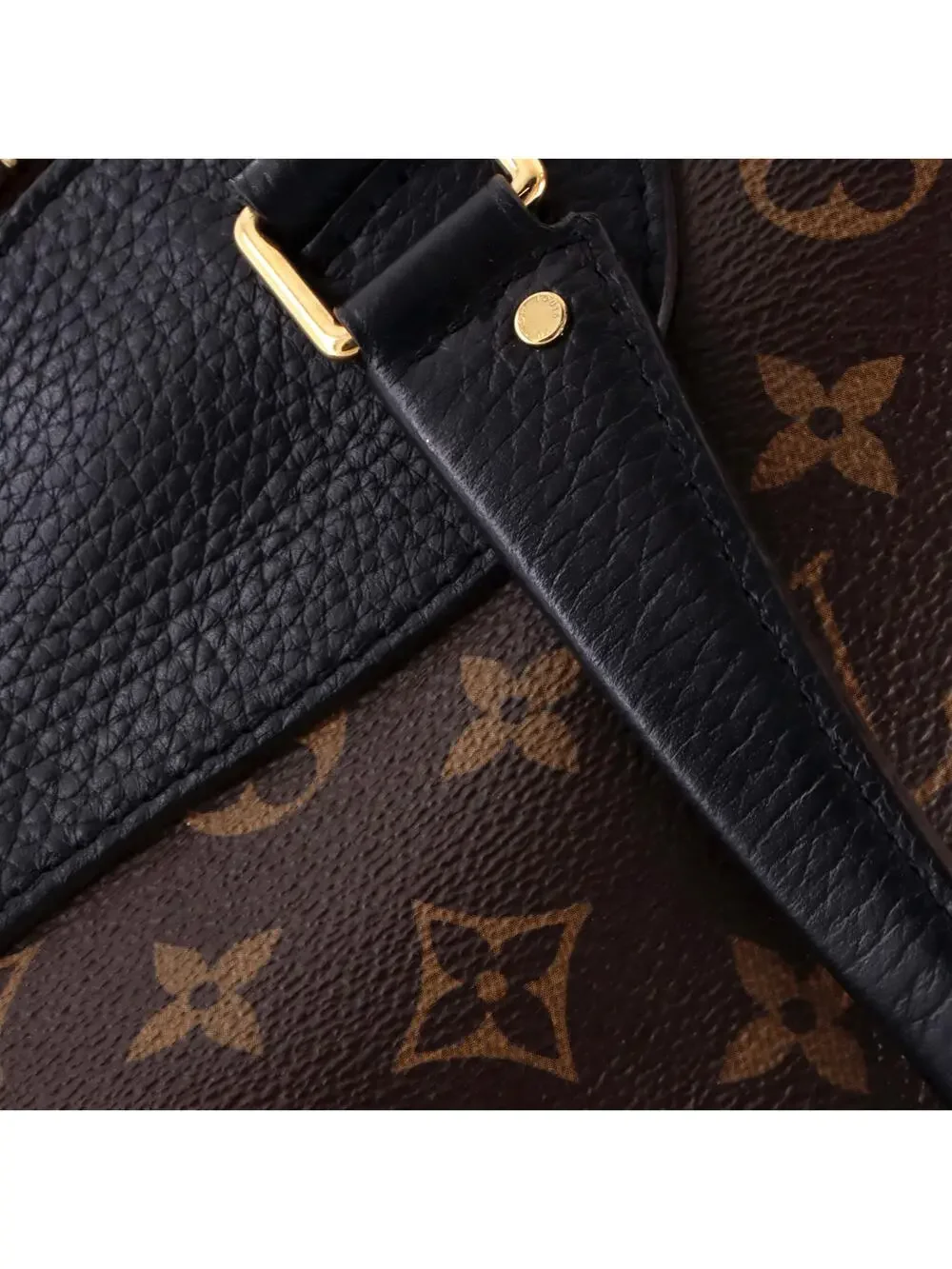 Louis Vuitton introducing louis